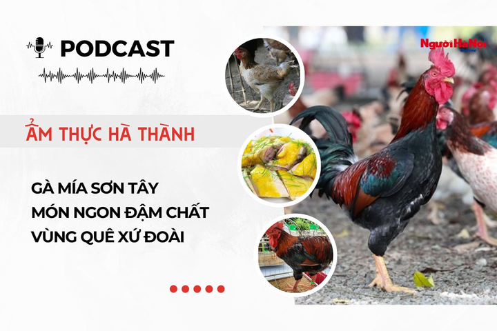 [Podcast] Gà Mía Sơn Tây - Món ngon đậm chất vùng quê xứ Đoài