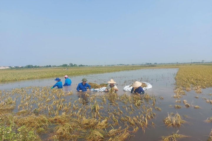 Hà Nội: Chung tay cứu trợ khẩn cấp đồng bào bị ảnh hưởng bởi lũ lụt trên nền tảng VNeID