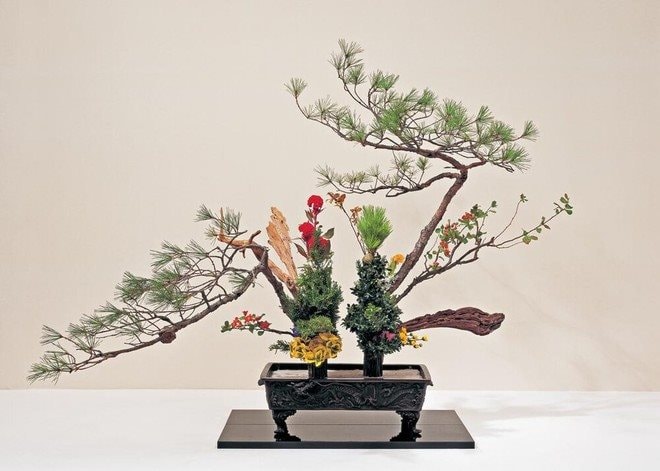 Giới thiệu nghệ thuật cắm hoa Nhật Bản Ikebana lần thứ VII tại Hà Nội