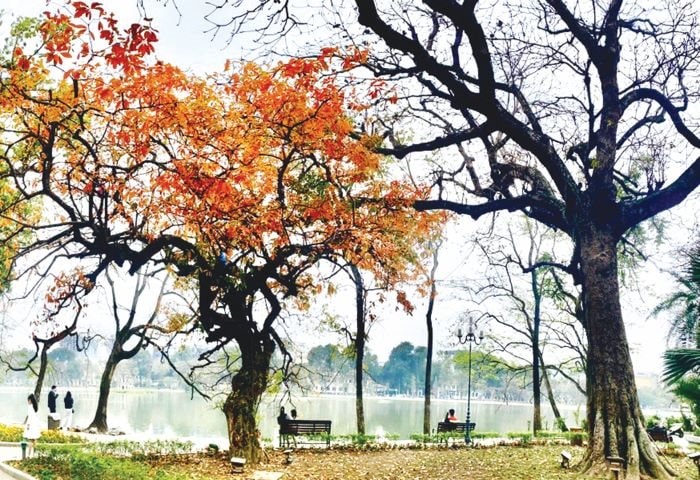 Yêu Hà Nội từ những trang văn