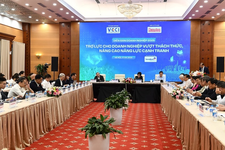 Diễn đàn Doanh nghiệp 2025: Thúc đẩy phát triển du lịch Việt Nam trong bối cảnh mới