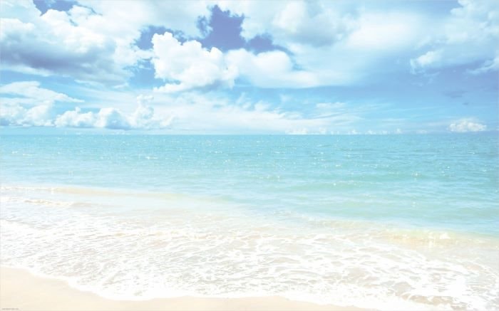 Người đi về phía biển