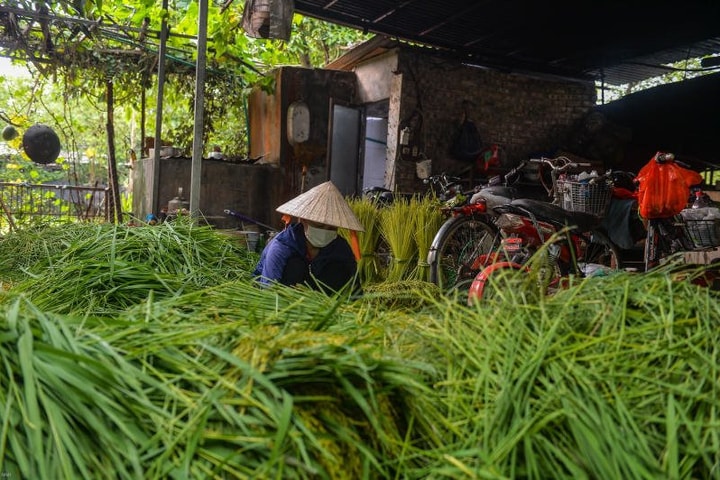 Sử dụng địa danh “Mễ Trì” đăng ký bảo hộ nhãn hiệu chứng nhận Cốm Mễ Trì