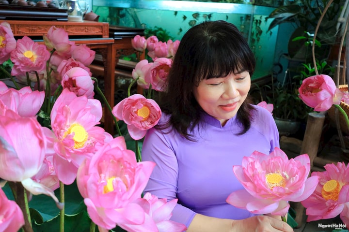 Một thoáng Tây Hồ, một mùa sen níu bước người thương
