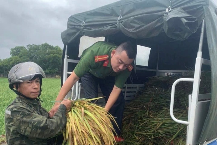 UBND cấp xã của Hà Nội bố trí ngân sách dự phòng hỗ trợ cơ sở sản xuất bị thiệt hại giống cây trồng, vật nuôi do thiên tai