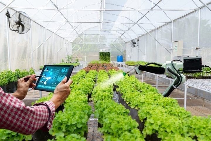 Hà Nội tập trung đẩy mạnh thực hiện các hoạt động xúc tiến thương mại theo Chỉ thị 18/CT-TTg của Thủ tướng Chính phủ