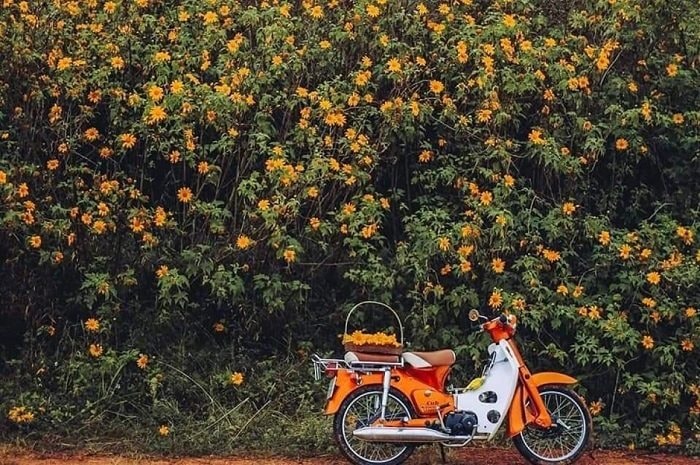 Công bố 11 hạng mục của Giải thưởng Du lịch Việt Nam 2025