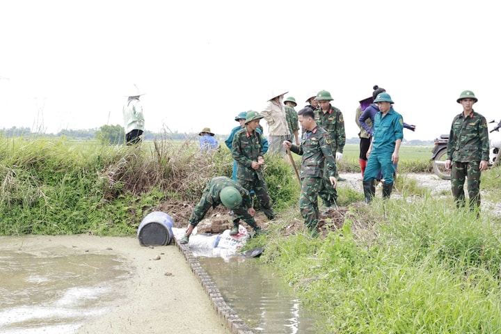 Báo động lũ trên các sông Bùi, Tích, Cà Lồ, Đáy và sông Cầu ở Hà Nội
