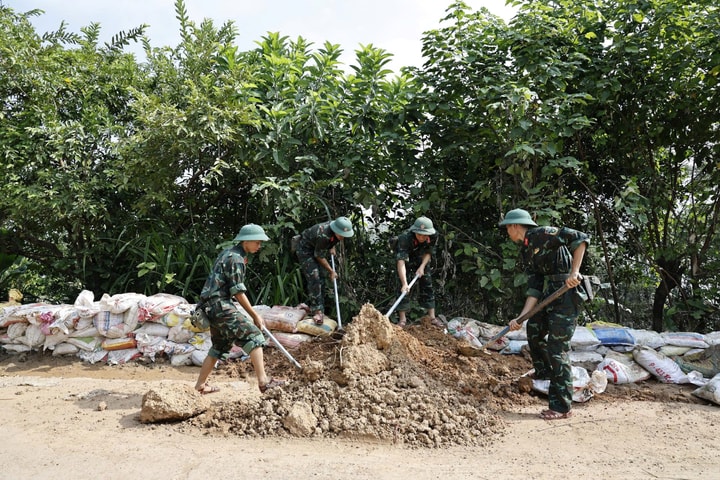 Lực lượng vũ trang hỗ trợ người dân ngoại thành Hà Nội khắc phục hậu quả sau mưa lũ