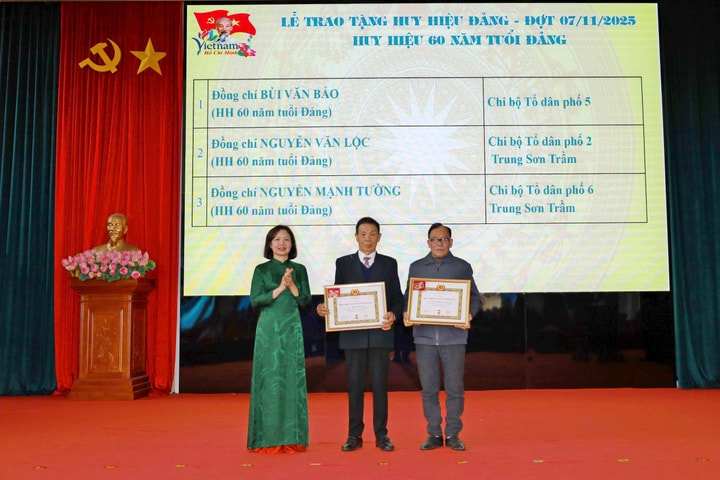 Các xã, phường ngoại thành Hà Nội tổ chức Lễ trao tặng huy hiệu Đảng đợt 7/11