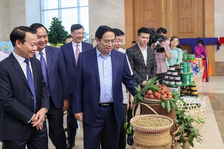 Hướng tới Đại hội XIV của Đảng: Phát triển nông nghiệp bền vững, xứng tầm “trụ đỡ” của nền kinh tế - xã hội