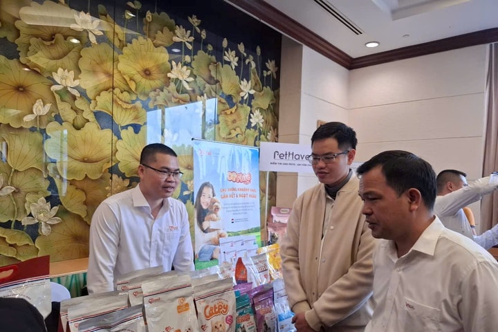 Petfair Vietnam khởi động mùa sự kiện mới