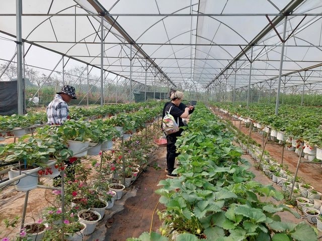 Ngành nông nghiệp Hà Nội tăng trưởng 3,55% trong năm 2025