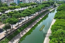 Hồi sinh sông Tô Lịch