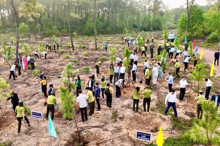 Huế phát động “Tết trồng cây đời đời nhớ ơn Bác Hồ” Xuân Bính Ngọ 2026