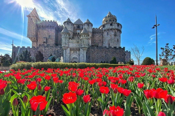 Những thiên đường hoa không thể bỏ lỡ ngày 8/3 tại Việt Nam