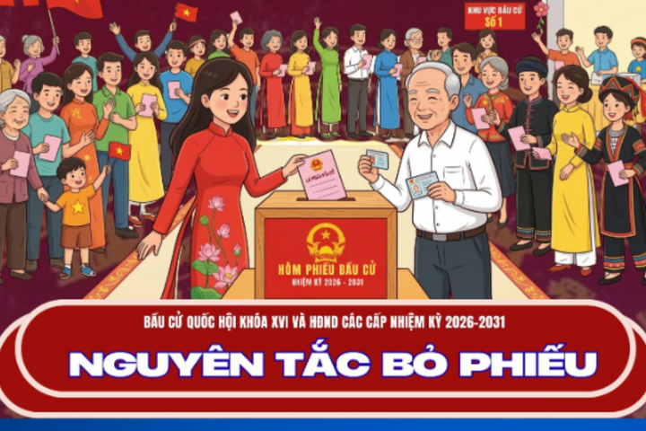 [Infographic] Nguyên tắc bỏ phiếu bầu cử ĐBQH khóa XVI và HĐND các cấp nhiệm kỳ 2026 – 2031