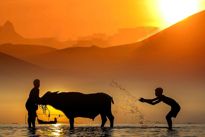 Trình chiếu 17 bộ phim Việt Nam tiêu biểu tại DANAFF IV