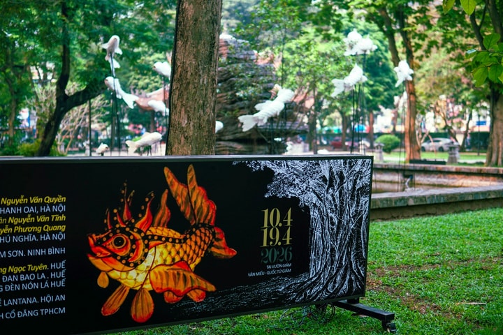 Không gian trưng bày đèn lồng đặc sắc “Vườn Ánh sáng” tại Văn Miếu - Quốc Tử Giám