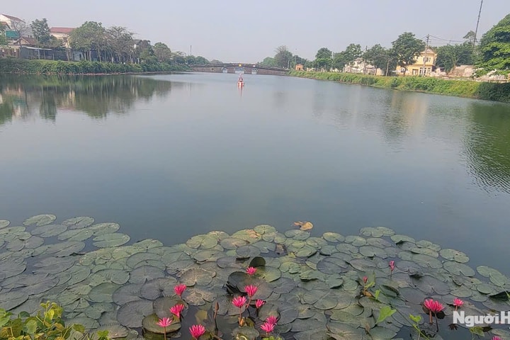 Mở đường thủy nội địa sông Ngự Hà, khởi động du lịch bằng thuyền điện trong Kinh thành Huế