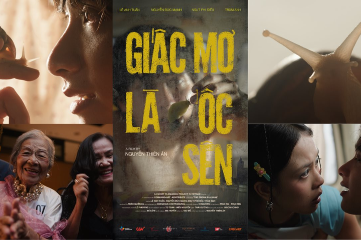 "Giấc mơ là ốc sên" đại diện Việt Nam tranh giải tại Liên hoan phim Cannes 2026
