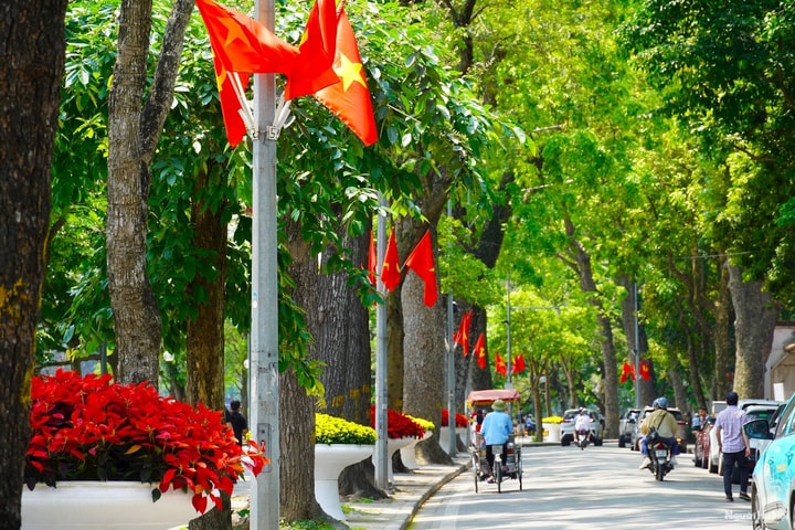 Treo cờ Tổ quốc nhân dịp Đại hội đại biểu toàn quốc Mặt trận Tổ quốc Việt Nam lần thứ XI, từ 10- 14/5