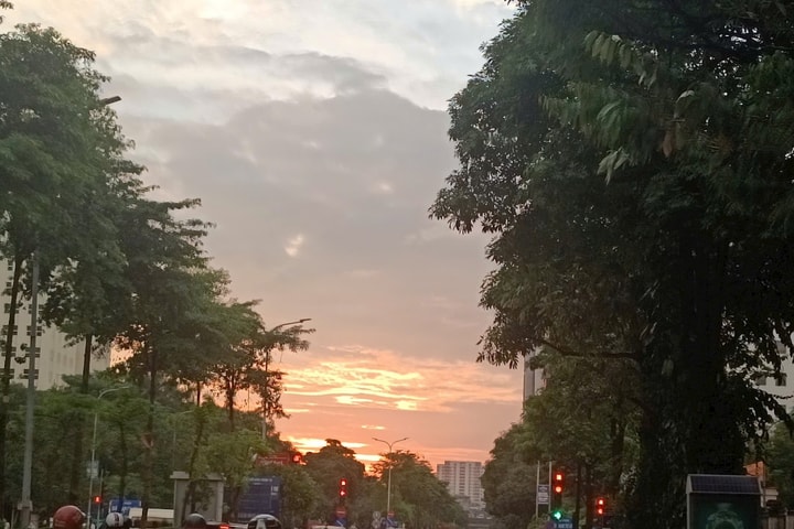 Mùi phố…