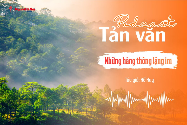 [Podcast] Tản văn: Những hàng thông lặng im