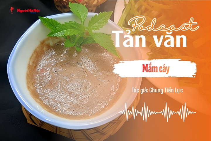[Podcast] Tản văn: Mắm cáy