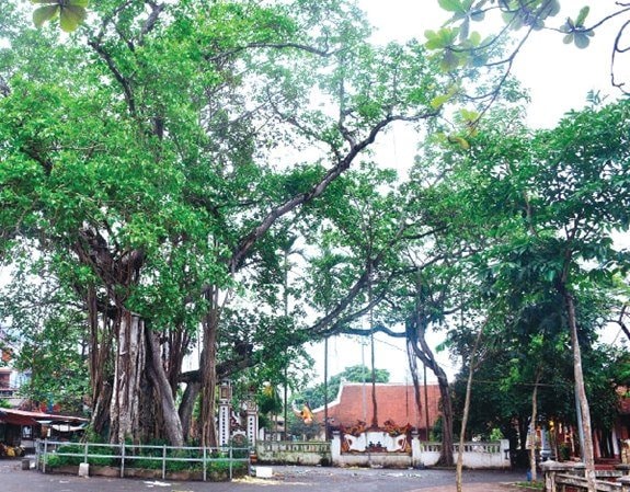 Hà Nội có thêm 12 di tích được xếp hạng cấp thành phố