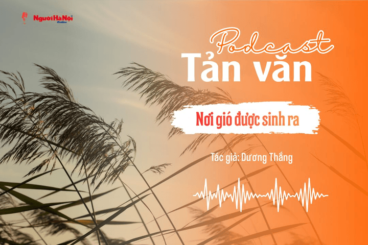 [Podcast] Tản văn: Nơi gió được sinh ra