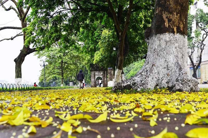 Mùa thu Hà Nội trong tôi đầy nhung nhớ