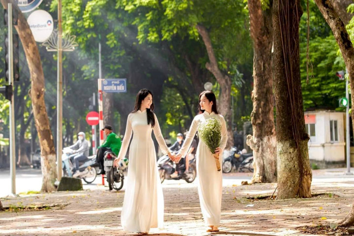 Hồn cây, tình người