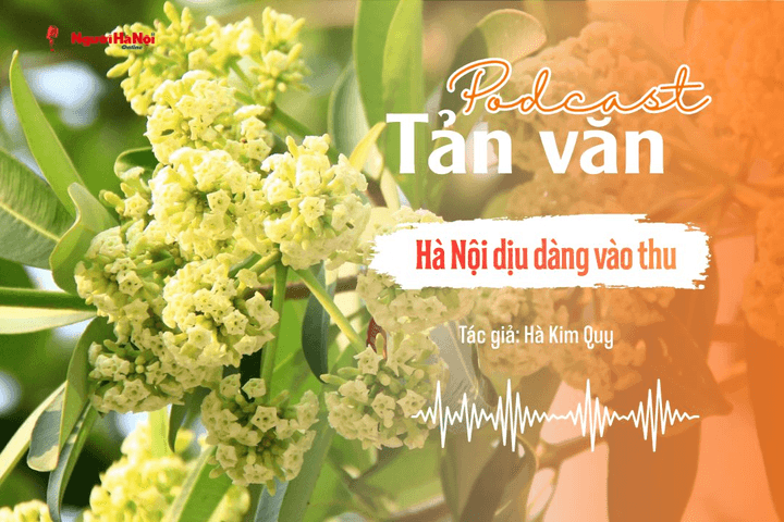 [Podcast] Tản văn: Dịu dàng Hà Nội vào thu